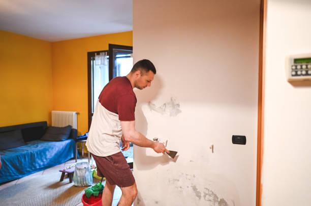 Best Commercial Mold Removal  in Lakeside, CA